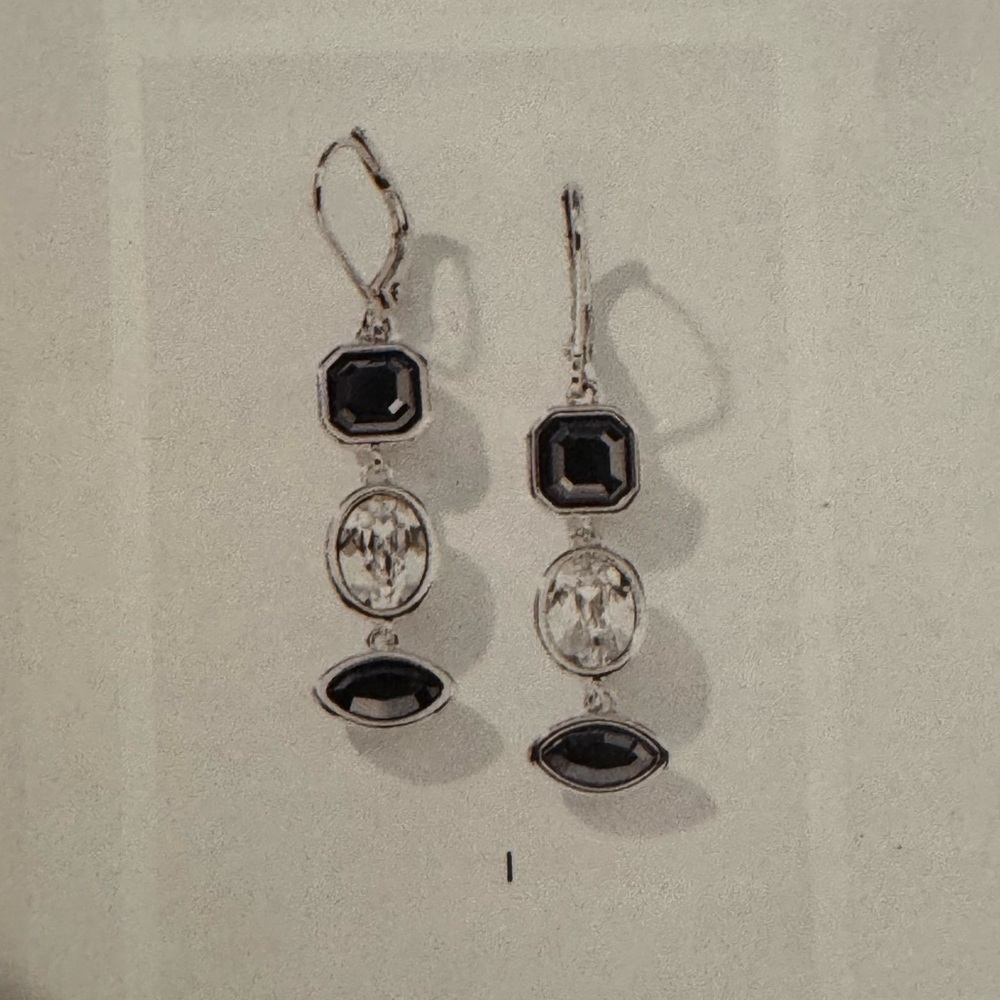 Touchstone Crystal By Swarovski - Vanta Earrings - Picture 2 of 3